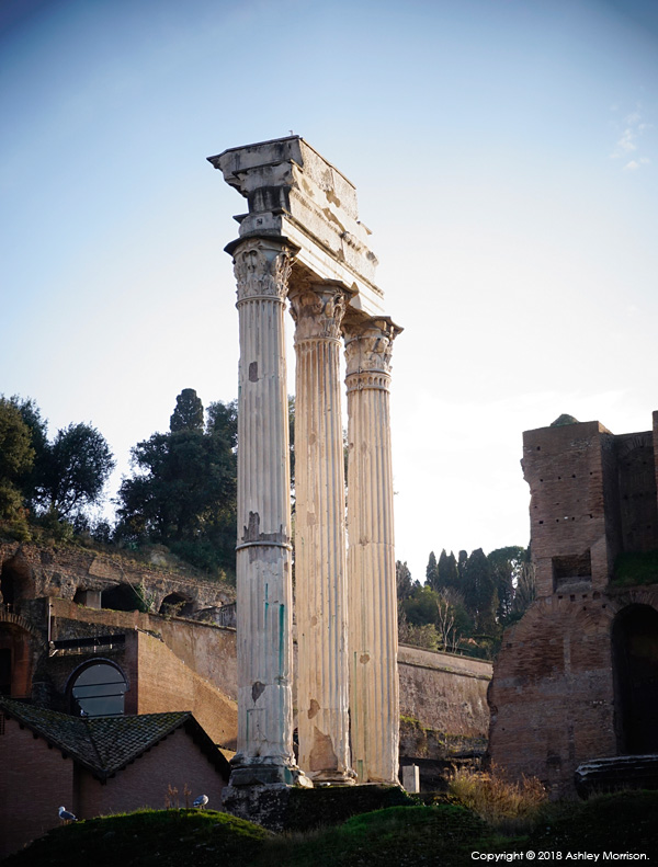 The Roman Forum, also known by its Latin name Forum Romanum.